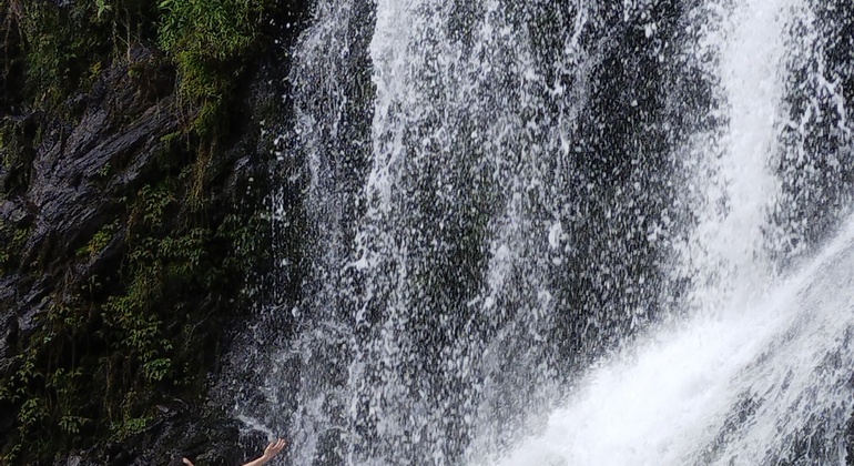 caminata-a-la-cascada-mas-alta-del-tolima-en-4