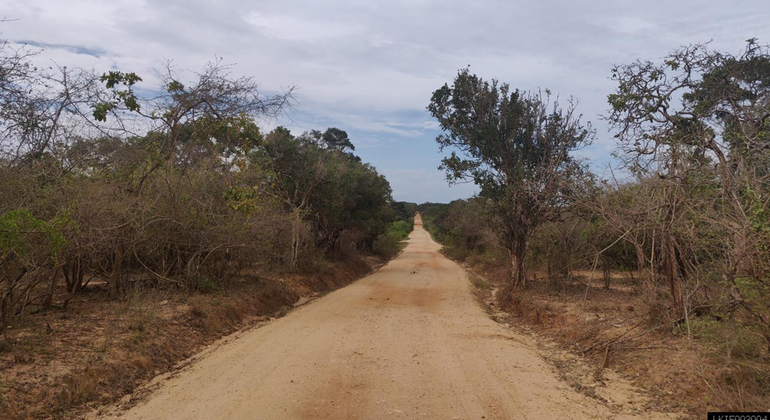 Safari de Medio Dia por el Parque Nacional de Yala