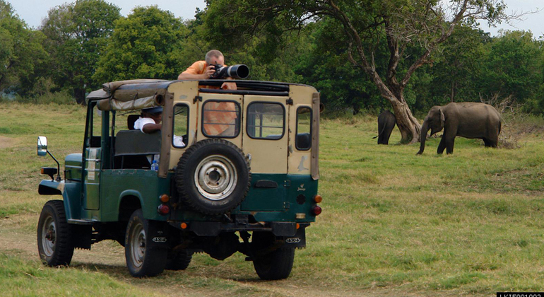 half-day-udawalawe-national-park-safari-es-4