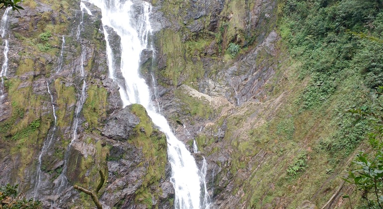 Discover the Impressive La Plata Waterfall