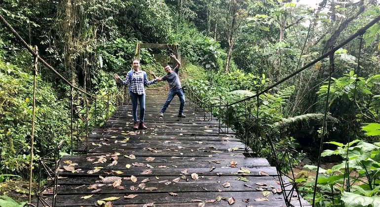 descubre-la-impresionante-cascada-la-plata-en-2