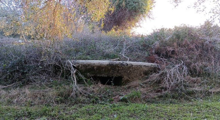 Tour da história militar grega, Greece