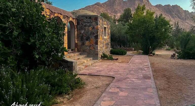 Mount Sinai Night Hike & St. Catherine Monastery