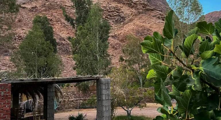 mount-sinai-night-hike-st-catherine-monastery-es-1