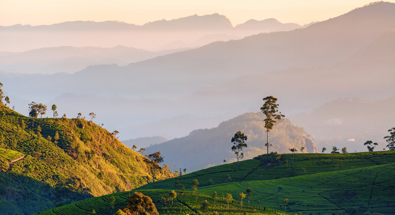 Aspectos Destacados de las Tierras Altas de Kandy