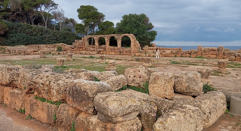 Excursión de un día a las Antiguas Ruinas de Tipaza