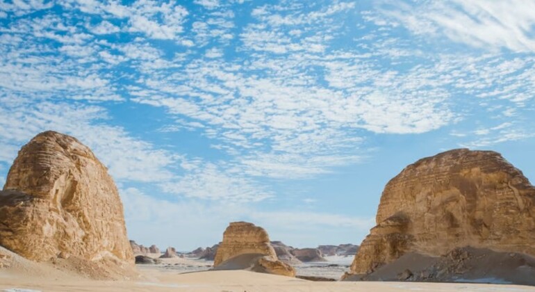 bahariya-oasis-desert-tour-en-5