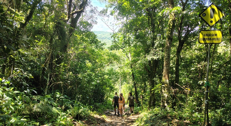 Walking Tour from Linear Park to Pocao Waterfall