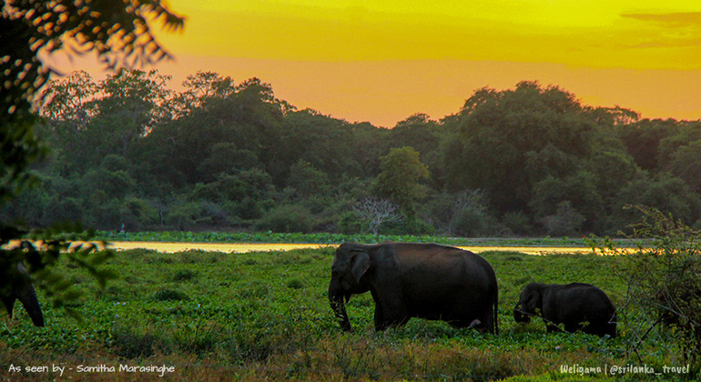 night-camping-and-surfing-at-elephant-rock-en-5