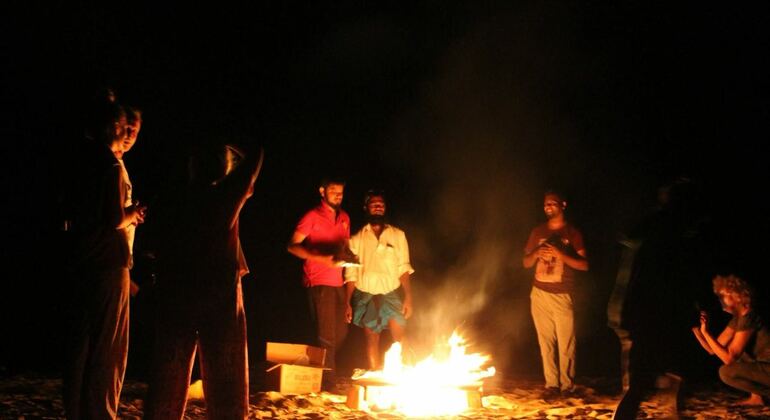 night-camping-and-surfing-at-elephant-rock-en-11