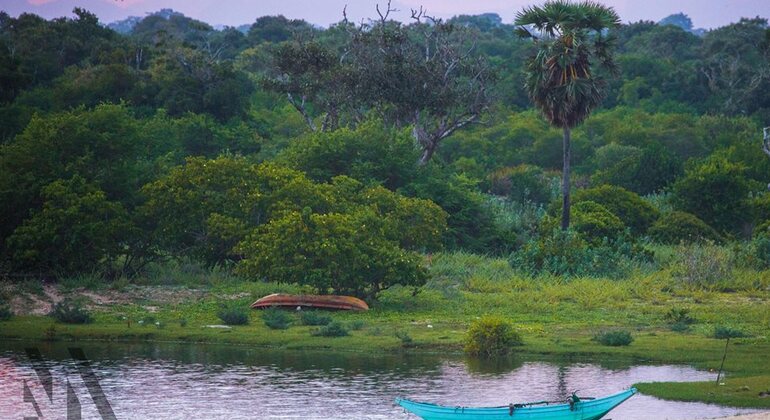 night-camping-and-surfing-at-elephant-rock-en-15