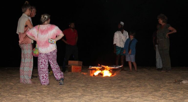 night-camping-and-surfing-at-elephant-rock-en-18