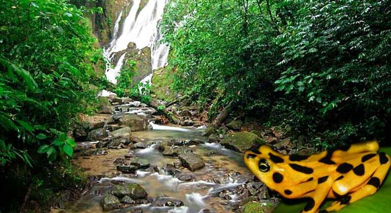 Tour de un Día: Valle, Aguas Termales y Cascadas