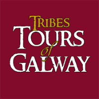Brian — Guide of Tribes Free Walking Tour, Ireland