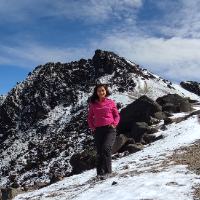 Vivi — Guía del Transporte Privado Hacia la Mitad del Mundo, Ecuador