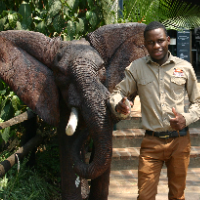 Junior — Guia de Safari a pé gratuito no município de Chinotimba, Zimbabwe