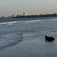 near COCO beach — Guía del Dar es Salam Food and Drinks All Nighter Free Tour, Tanzania